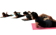 古典瑜伽療法Yoga Therapy （週五）晚上7:00-8:30 點（雲端）